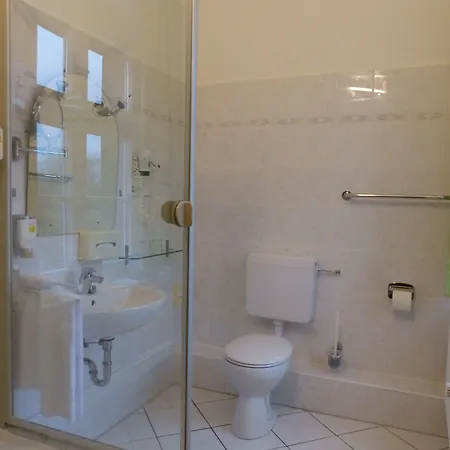 Hotel Hotel Zur Alten Oder- Frankfurt-Oder 3*