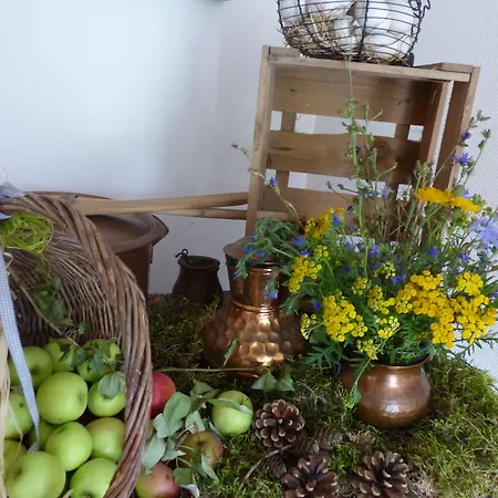 Otel Zur Alten Oder- Frankfurt-oder