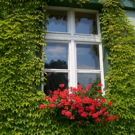 Hotel Zur Alten Oder- Frankfurt-Oder 3* Frankfurt (Oder)