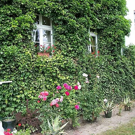 Hotel Zur Alten Oder- Frankfurt-Oder Hotel Frankfurt (Oder)