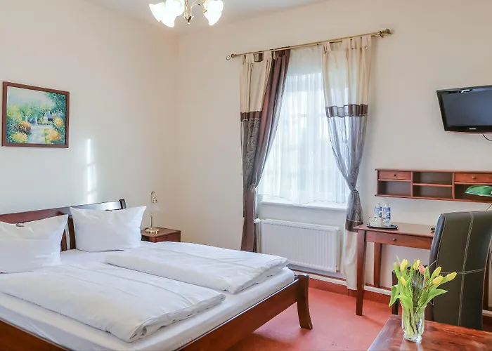 Otel Zur Alten Oder- Frankfurt-oder 3*