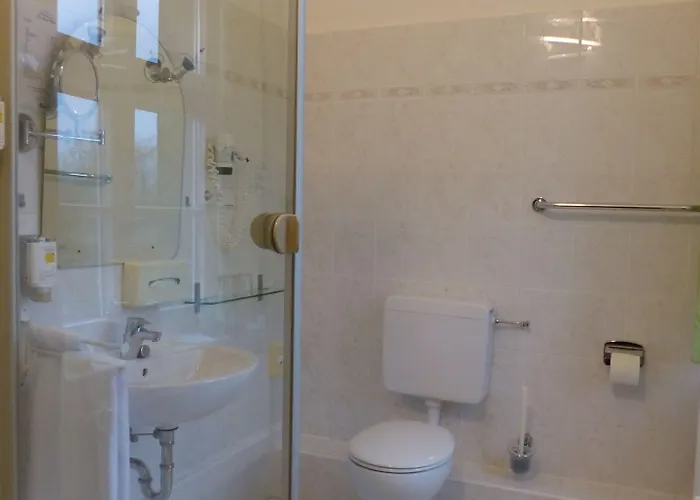 Otel Zur Alten Oder- Frankfurt-oder 3*