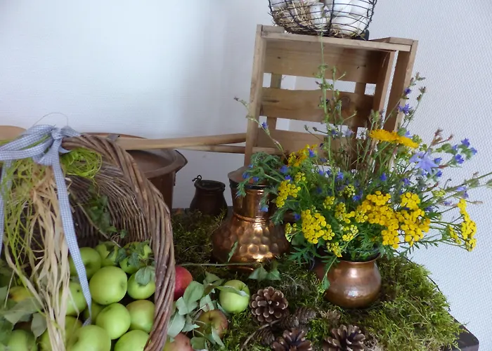 Otel Zur Alten Oder- Frankfurt-oder