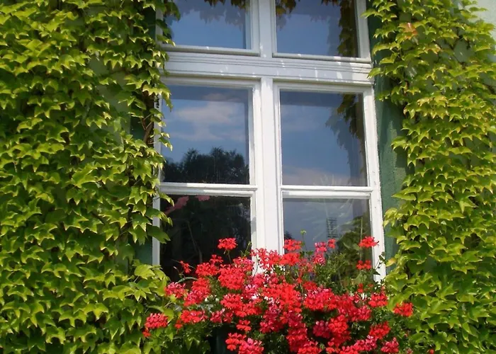 Zur Alten Oder- Frankfurt-oder 3* Frankfurt an der Oder