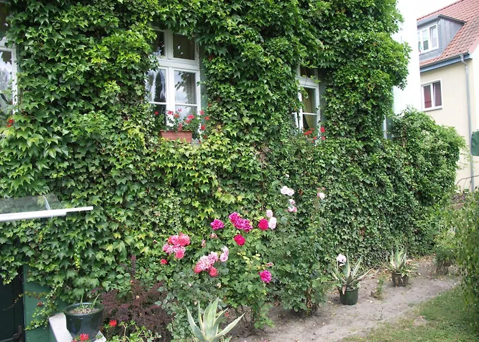 Zur Alten Oder- Frankfurt-oder Otel 3*